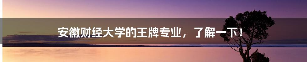 安徽财经大学的王牌专业，了解一下！