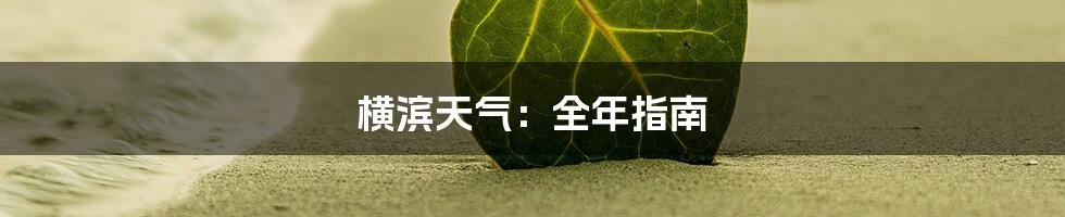 横滨天气：全年指南