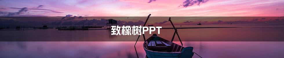 致橡树PPT