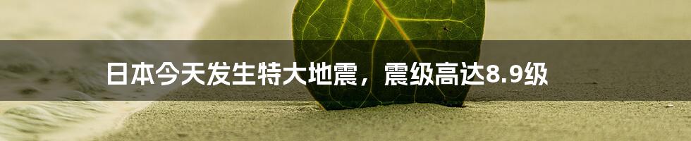 日本今天发生特大地震，震级高达8.9级