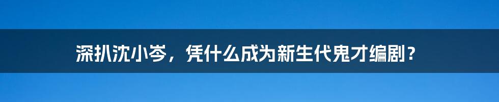 深扒沈小岑，凭什么成为新生代鬼才编剧？