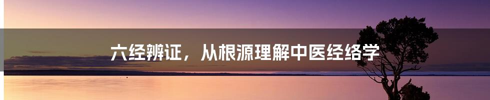 六经辨证，从根源理解中医经络学