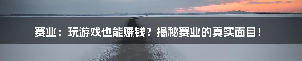 赛业：玩游戏也能赚钱？揭秘赛业的真实面目！