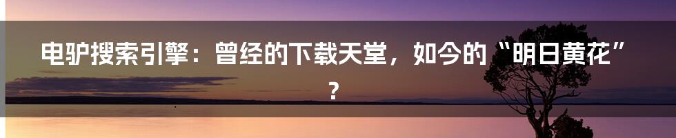 电驴搜索引擎：曾经的下载天堂，如今的“明日黄花”？