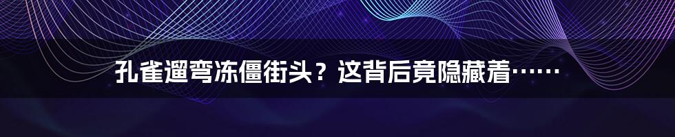 孔雀遛弯冻僵街头？这背后竟隐藏着……