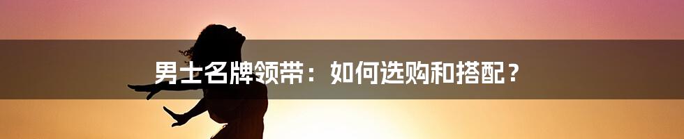 男士名牌领带：如何选购和搭配？