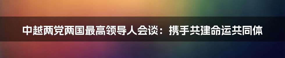 中越两党两国最高领导人会谈：携手共建命运共同体