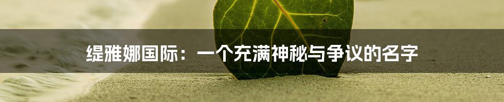 缇雅娜国际：一个充满神秘与争议的名字