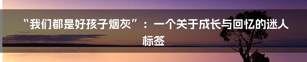 “我们都是好孩子烟灰”：一个关于成长与回忆的迷人标签