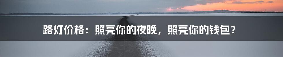 路灯价格：照亮你的夜晚，照亮你的钱包？