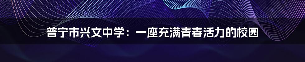 普宁市兴文中学：一座充满青春活力的校园