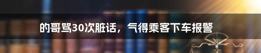 的哥骂30次脏话，气得乘客下车报警