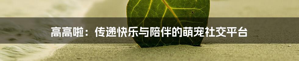 高高啦：传递快乐与陪伴的萌宠社交平台