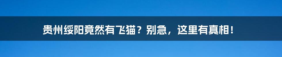 贵州绥阳竟然有飞猫？别急，这里有真相！