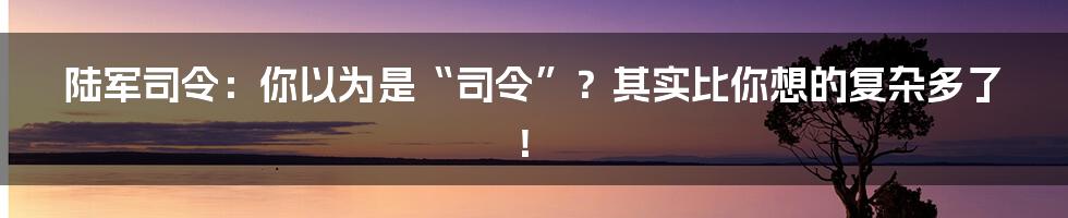 陆军司令：你以为是“司令”？其实比你想的复杂多了！