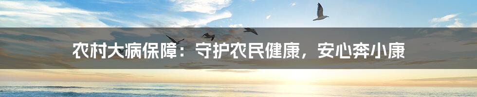 农村大病保障：守护农民健康，安心奔小康