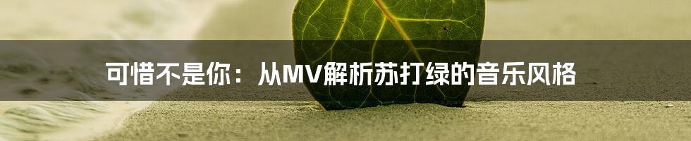 可惜不是你：从MV解析苏打绿的音乐风格