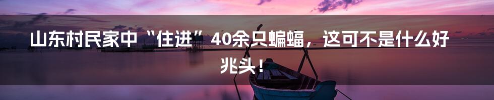 山东村民家中“住进”40余只蝙蝠，这可不是什么好兆头！