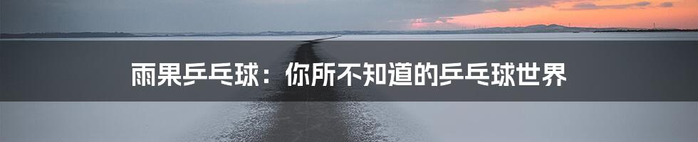 雨果乒乓球：你所不知道的乒乓球世界