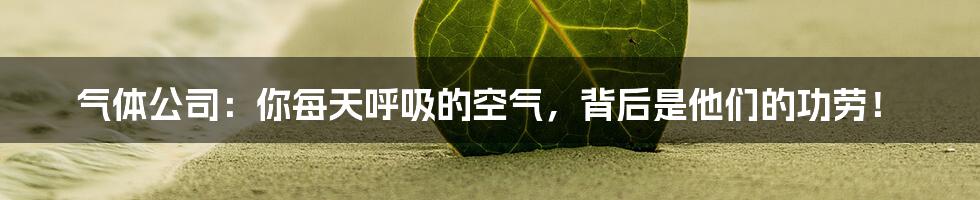 气体公司：你每天呼吸的空气，背后是他们的功劳！