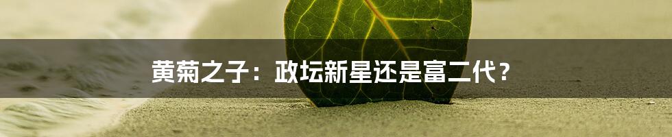 黄菊之子：政坛新星还是富二代？