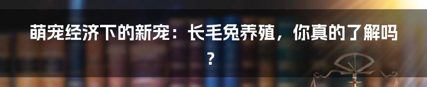 萌宠经济下的新宠：长毛兔养殖，你真的了解吗？