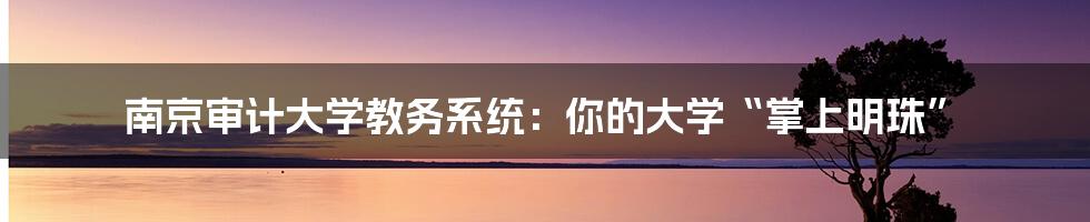 南京审计大学教务系统：你的大学“掌上明珠”