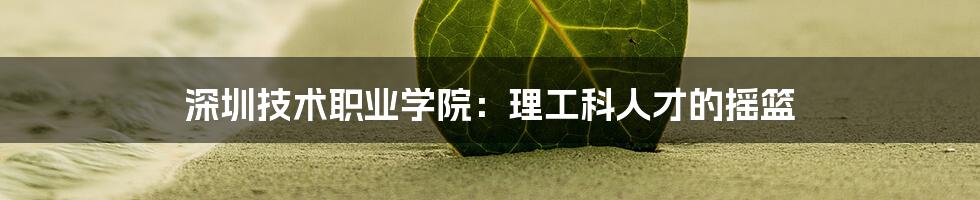 深圳技术职业学院：理工科人才的摇篮