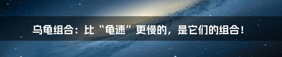 乌龟组合：比“龟速”更慢的，是它们的组合！