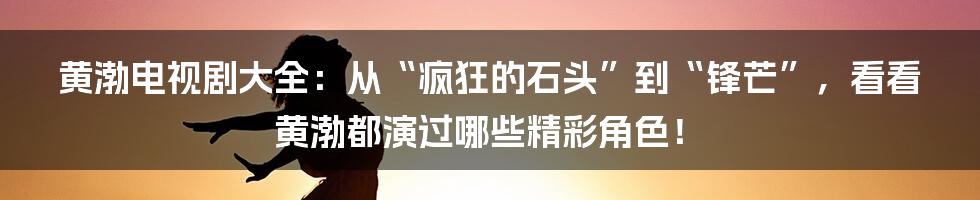 黄渤电视剧大全：从“疯狂的石头”到“锋芒”，看看黄渤都演过哪些精彩角色！