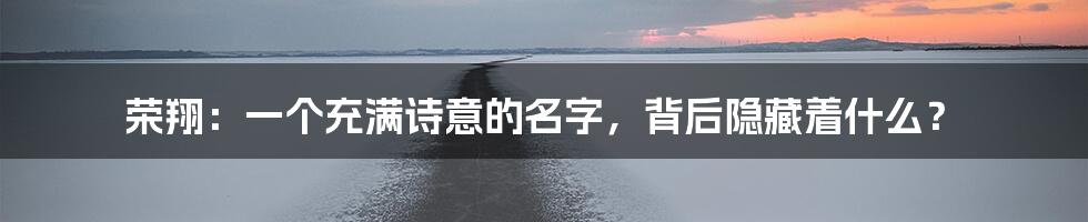 荣翔：一个充满诗意的名字，背后隐藏着什么？