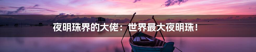 夜明珠界的大佬：世界最大夜明珠！