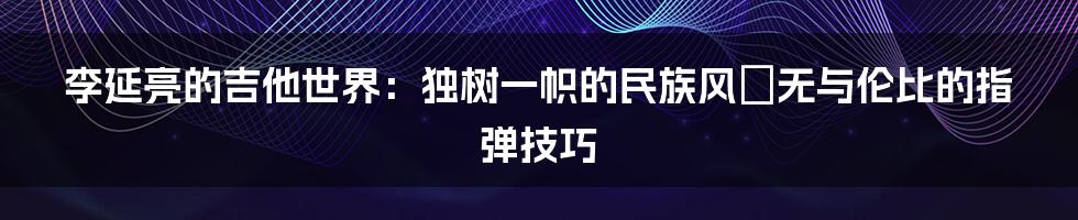 李延亮的吉他世界：独树一帜的民族风＆无与伦比的指弹技巧