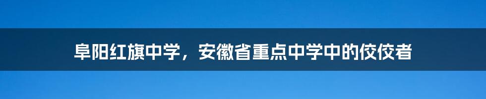 阜阳红旗中学，安徽省重点中学中的佼佼者