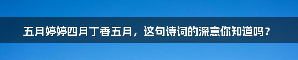 五月婷婷四月丁香五月，这句诗词的深意你知道吗？