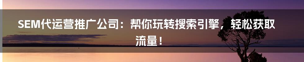 SEM代运营推广公司：帮你玩转搜索引擎，轻松获取流量！