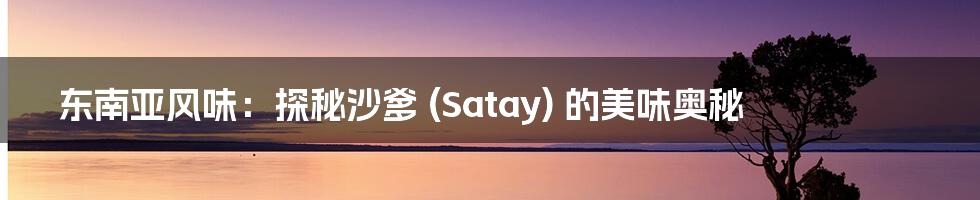 东南亚风味：探秘沙爹 (Satay) 的美味奥秘