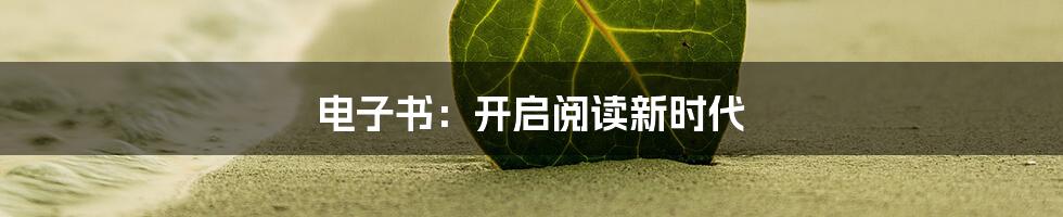 电子书：开启阅读新时代