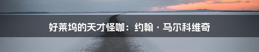 好莱坞的天才怪咖：约翰·马尔科维奇