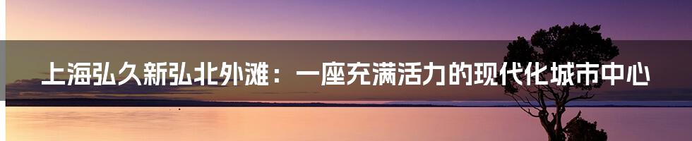 上海弘久新弘北外滩：一座充满活力的现代化城市中心