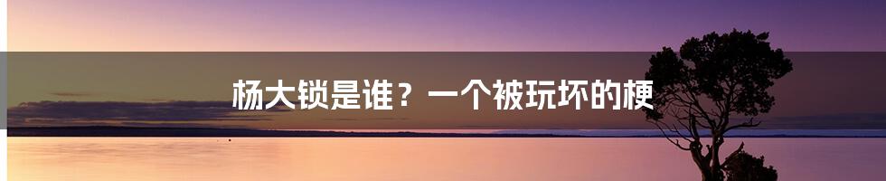 杨大锁是谁？一个被玩坏的梗