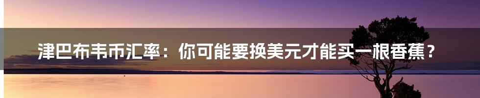 津巴布韦币汇率：你可能要换美元才能买一根香蕉？