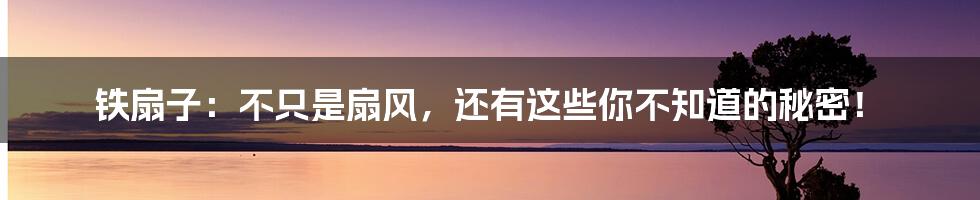 铁扇子：不只是扇风，还有这些你不知道的秘密！