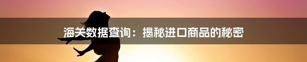 海关数据查询：揭秘进口商品的秘密