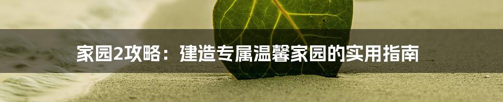 家园2攻略：建造专属温馨家园的实用指南