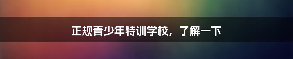 正规青少年特训学校，了解一下