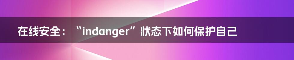 在线安全：“indanger”状态下如何保护自己