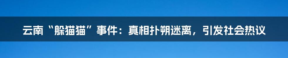 云南“躲猫猫”事件：真相扑朔迷离，引发社会热议