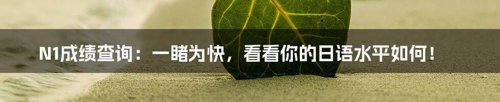 N1成绩查询：一睹为快，看看你的日语水平如何！