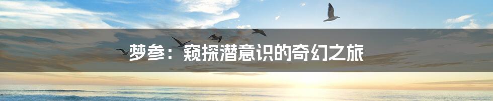 梦参：窥探潜意识的奇幻之旅